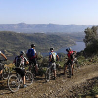 Anevolema Faneromeni Anevolema Faneromeni