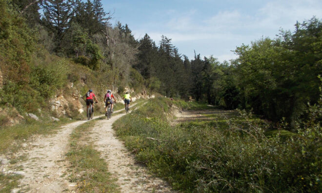 Eleftherna-MTB Eleftherna-MTB