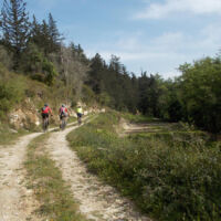 Eleftherna-MTB Eleftherna-MTB