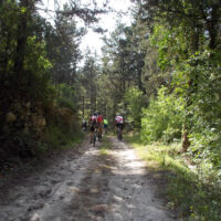 Eleftherna-Crete-Joyride-bike-tour Eleftherna-Crete-Joyride-bike-tour