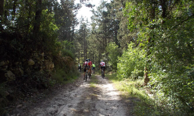 Eleftherna-Crete-Joyride-bike-tour Eleftherna-Crete-Joyride-bike-tour