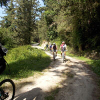 Eleftherna-Crete-Joyride-bike-tour Eleftherna-Crete-Joyride-bike-tour