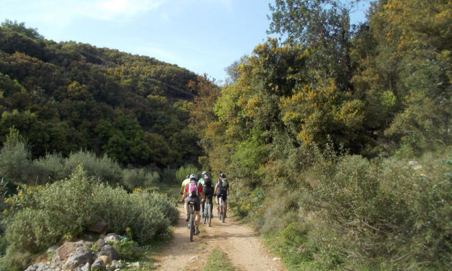 Eleftherna-mountain-bike-tour Eleftherna-mountain-bike-tour