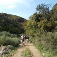 Eleftherna-mountain-bike-tour Eleftherna-mountain-bike-tour