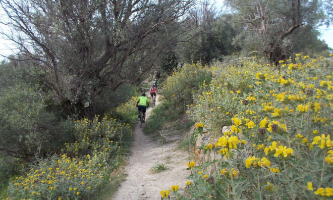 Eleftherna-Crete-Joyride-bike-tour Eleftherna-Crete-Joyride-bike-tour