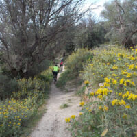 Eleftherna-Crete-Joyride-bike-tour Eleftherna-Crete-Joyride-bike-tour