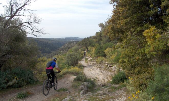 Eleftherna-MTB Singletrails Eleftherna-MTB Singletrails