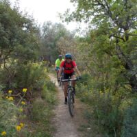 Eleftherna-MTB Singletrails Eleftherna-MTB Singletrails