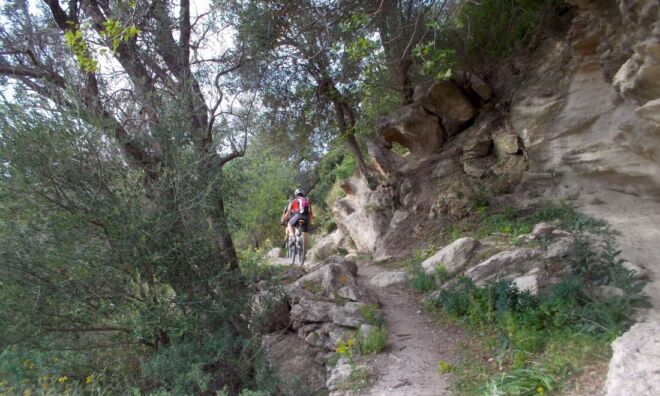 Eleftherna-MTB Singletrails Eleftherna-MTB Singletrails