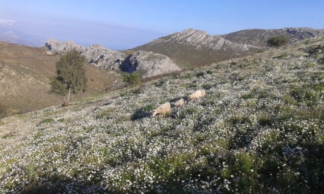 Mountain biking Crete Mountain biking Crete