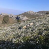 Mountain biking Crete Mountain biking Crete