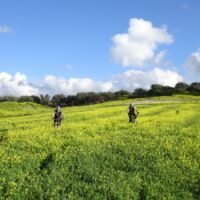 Mountain biking Crete Mountain biking Crete