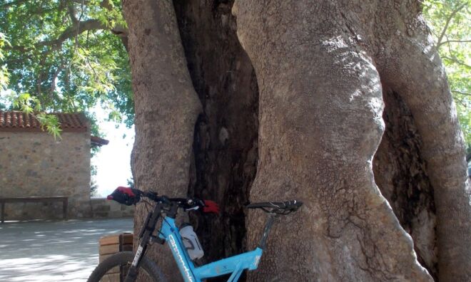 Mountain biking Crete Mountain biking Crete