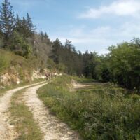 Margarites Bike Tour Margarites Bike Tour