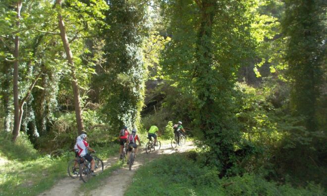 Margarites Bike Tour Margarites Bike Tour