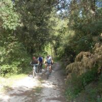 Margarites Bike Tour Margarites Bike Tour