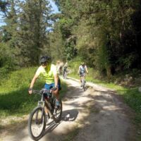 Margarites Bike Tour Margarites Bike Tour