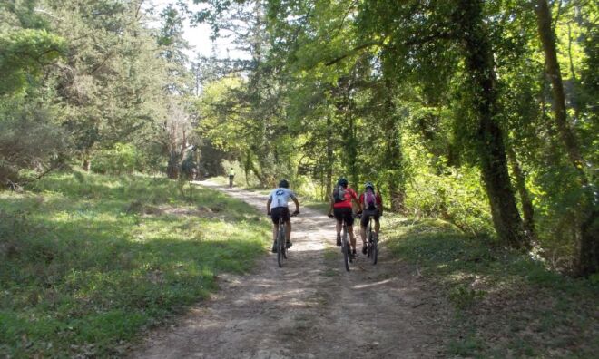 Margarites Bike Tour Margarites Bike Tour