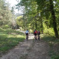 Margarites Bike Tour Margarites Bike Tour