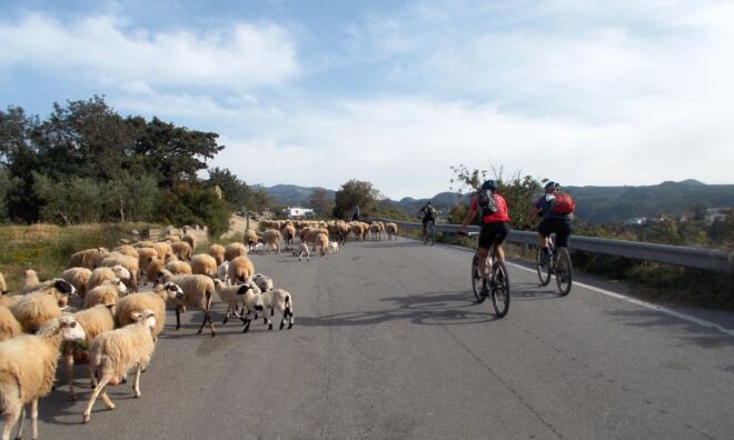 Margarites Bike Tour Margarites Bike Tour