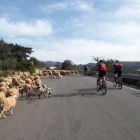 Margarites Bike Tour Margarites Bike Tour